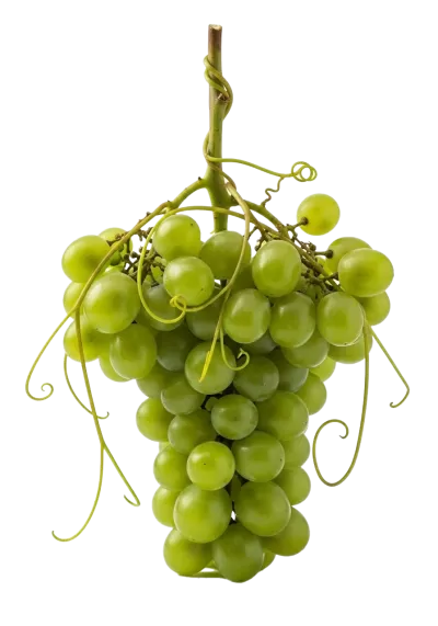 Imagen PNG para descargar